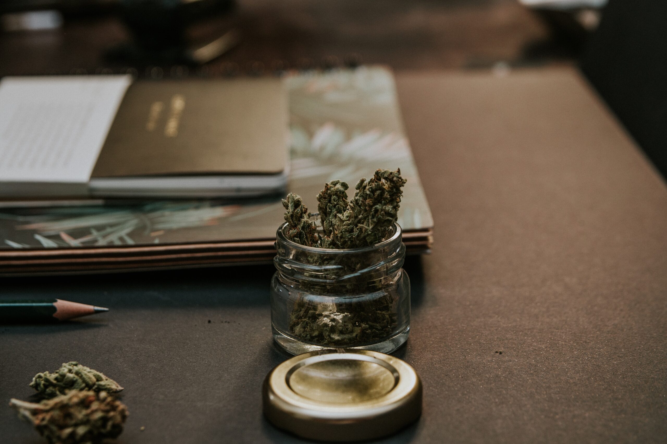 cannabis marketing team