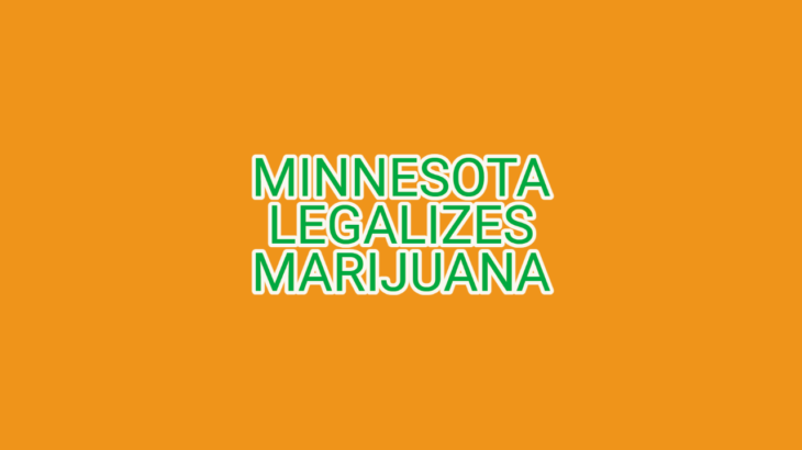 Minnesota votes to legalize marijuana as democrats press liberal policies