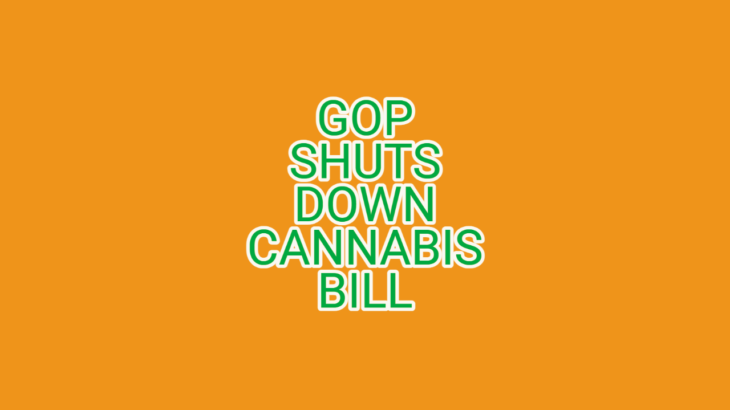 GOP revolts against bill to study cannabis to help veterans with pain and PTSD