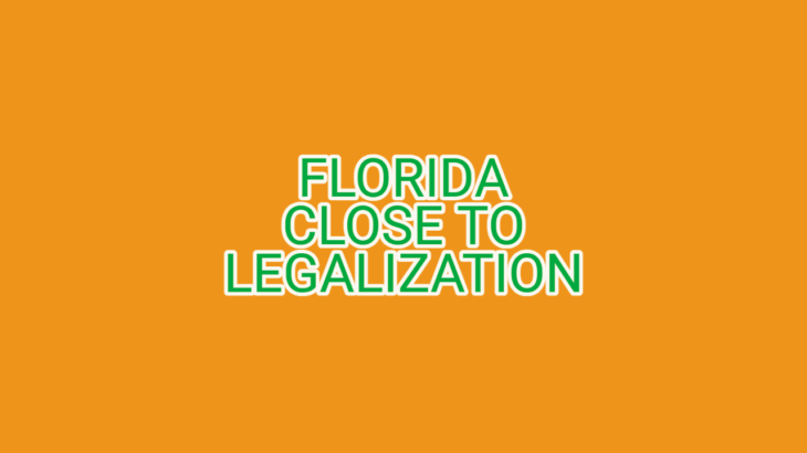 Florida Marijuana Activists Close in on Signature Requirement to Put Legalization on 2024 Ballot