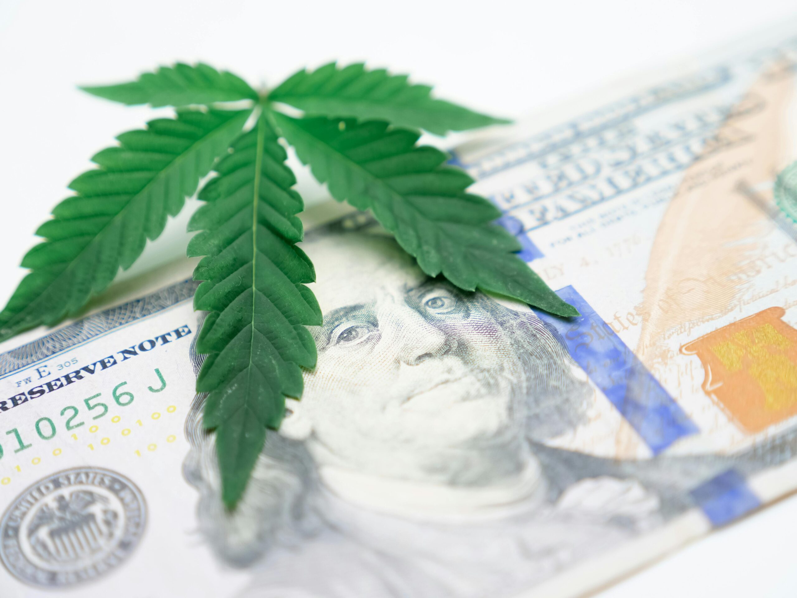 cannabis marketing agencies