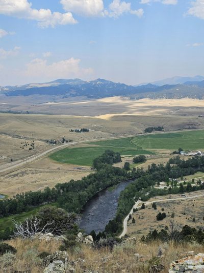 cannabis marketing montana